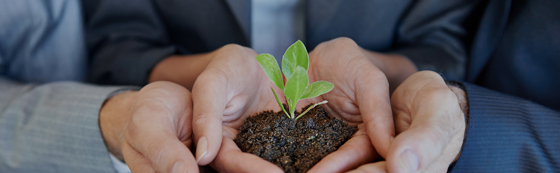 �ŵ�88(�й���½)���޹�˾ - �ٷ���վ