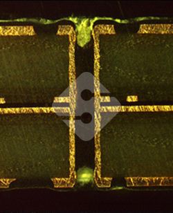 �ŵ�88(�й���½)���޹�˾ - �ٷ���վ