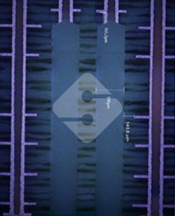 �ŵ�88(�й���½)���޹�˾ - �ٷ���վ