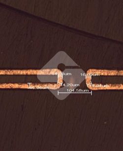 �ŵ�88(�й���½)���޹�˾ - �ٷ���վ