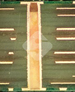 �ŵ�88(�й���½)���޹�˾ - �ٷ���վ