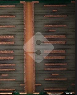 �ŵ�88(�й���½)���޹�˾ - �ٷ���վ