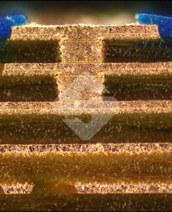 优德88(中国大陆)有限公司 - 官方网站