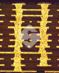 优德88(中国大陆)有限公司 - 官方网站