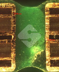 优德88(中国大陆)有限公司 - 官方网站