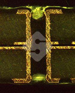 优德88(中国大陆)有限公司 - 官方网站