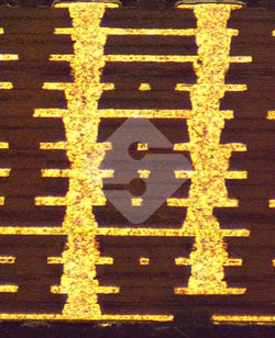 优德88(中国大陆)有限公司 - 官方网站