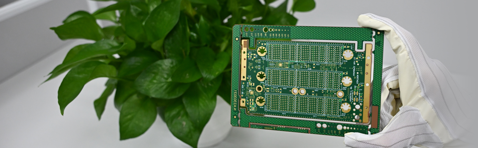 优德88(中国大陆)有限公司 - 官方网站